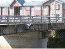 area0301.jpg