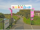 area1104.jpg