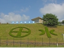 area1503.jpg