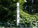 area2003.jpg