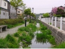 area0803.jpg