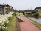area2601.jpg